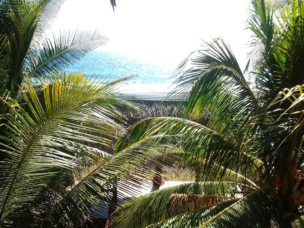 Villa Tortugas มอนเตริโก ภายนอก รูปภาพ